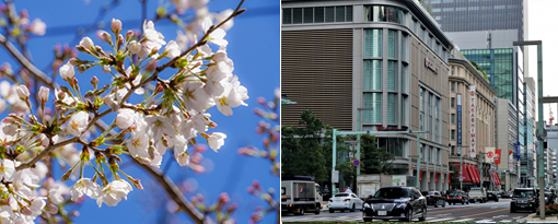 茅場町エリアのイメージ写真(2)